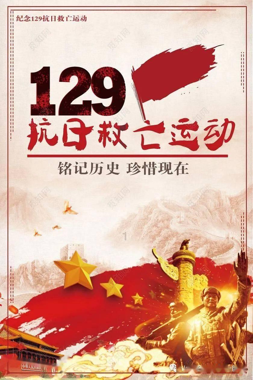 小太阳鹦鹉在哪买合法?- 专业问答平台